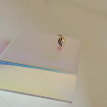 Load image into Gallery viewer, CRAB SHELL