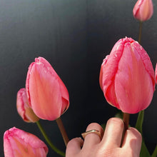 Load image into Gallery viewer, APOLLINE - GOLD